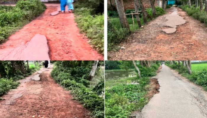 ব্রাহ্মণপাড়ায় ২১৭ সড়কে চ'র'ম ভো'গা'ন্তি, সংস্কারের অপেক্ষায় এলাকাবাসী