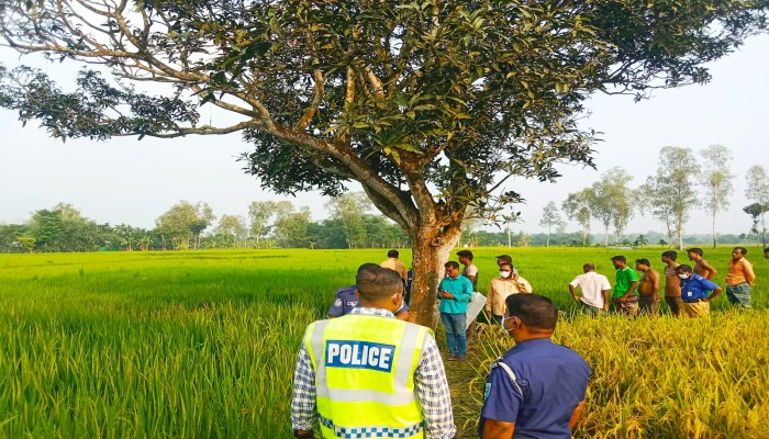বীরগঞ্জে ধানক্ষেত থেকে কিশোরের অ'র্ধ'গ'লি'ত লা'শ উদ্ধার