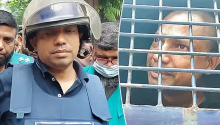 পিপিকে পলকের হু'ম'কি—‘তার স্থান আর আমার স্থান বেশি দূরে নয়’