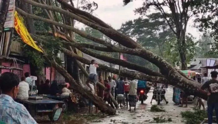 জামালপুরে হঠাৎ ঝ'ড়ে ল'ণ্ড'ভ'ণ্ড ঘরবাড়ি, বন্ধ সড়ক যোগাযোগ
