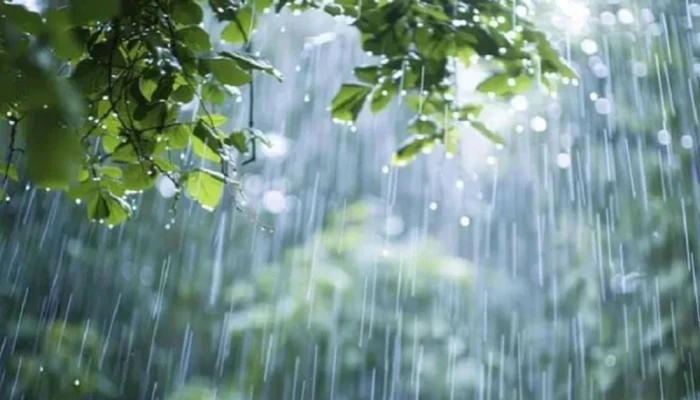 সব বিভাগেই বৃষ্টির আভাস, কোথাও কোথাও ভারী ব'র্ষ'ণ
