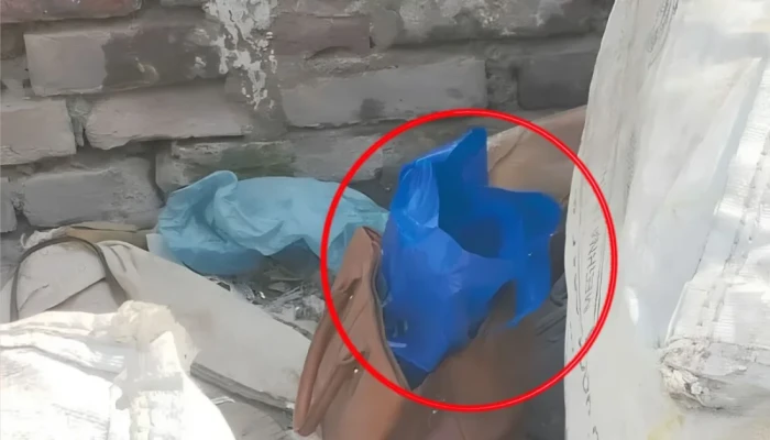 মোহাম্মদপুরে ক'ক'টে'ল সদৃশ বস্তু, ঘটনাস্থল ঘিরে রেখেছে বো'ম্ব ডি'স'পো'জাল টিম