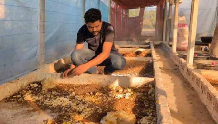 হাঁসের খামারের লোকসান ভুলে পোকা চাষে সাফল্য, মাসে আয় ২ লাখ