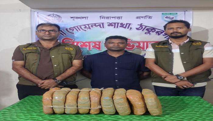 মা'দ'কে'র বড় চালান উ'দ্ধা'রে ডিবির সাফল্য, ঠাকুরগাঁওয়ে ৯ কেজি গাঁ'জা'স'হ গ্রে'প্তা'র ১