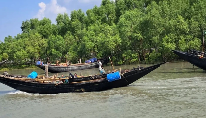 সুন্দরবনে মুক্তিপ'ণে'র দাবিতে নৌকাসহ দুই জেলে অ'প'হ'র'ণ