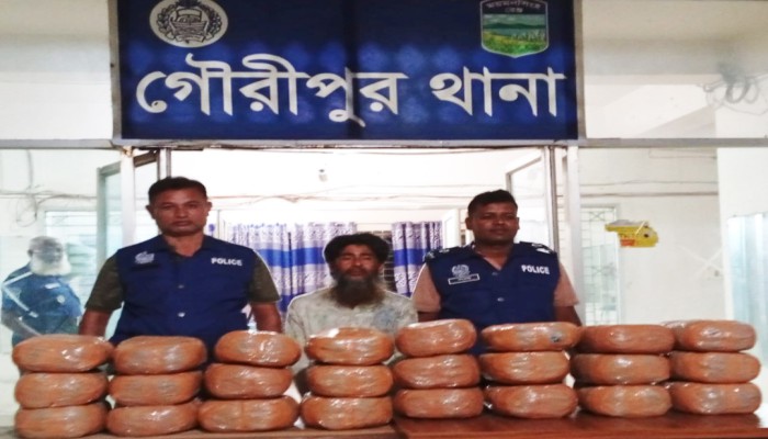 গৌরীপুরে ঘরের ভিতর প্লাস্টিকের বস্তা দিয়ে ঢাকা ৪৮ কেজি গাঁ'জা'স'হ ধরা পড়ল মা'দ'ক ব্যবসায়ী
