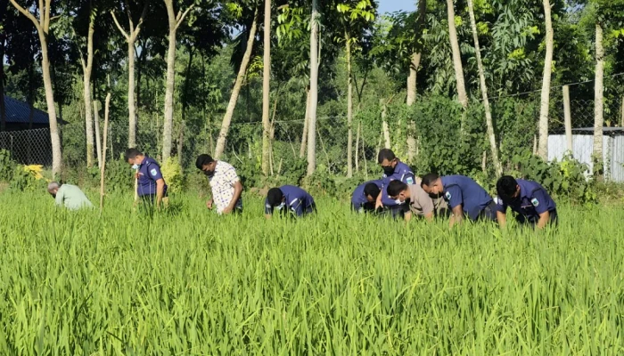 নি'খোঁ'জে'র ৪ দিন পর ধানক্ষেতে শিশুর ম'র'দে'হ, নে'ই মা'থা ও হা'ত-পা'য়ে'র কিছু অংশ
