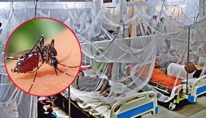 ডেঙ্গুতে একদিনে আবারও সর্বোচ্চ মৃ'ত্যু'র রেকর্ড, হাসপাতালে ভর্তি ১,৯৪৩