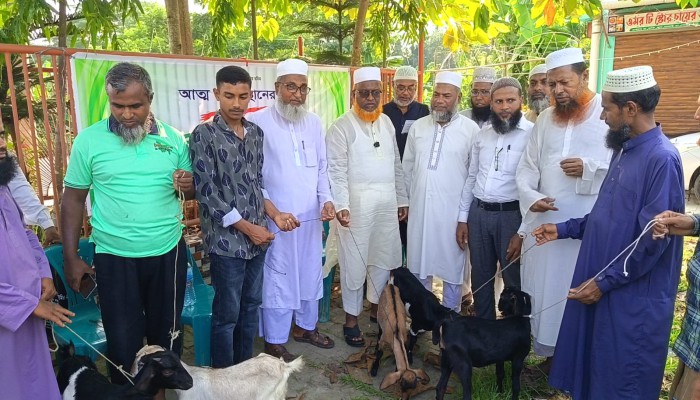 আত্মকর্মসংস্থানের লক্ষ্যে বরিশাল মহানগর জামায়াতের ছাগল বিতরণ