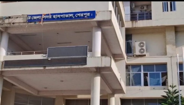 শেরপুরে ভয়ংকর রূপ ধারণ করছে ডে'ঙ্গু ও হাম ; হামে এখন পর্যন্ত মৃ'ত্যু ৪