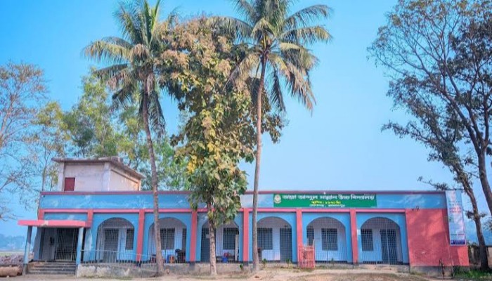 জামালপুরে জা'ল সনদে ১৬ বছর শিক্ষকতার অ'ভি'যো'গ, একজন সাময়িক অ'ব্যা'হ'তি