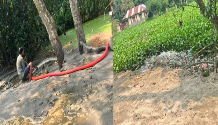 বালুর নিচে চা'পা পড়ছে জীবন ও প্রকৃতি: ব্রাহ্মণপাড়ায় বেপরোয়া পুকুর ভরাট, মহাবিপর্যয়ের শ'ঙ্কা