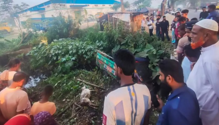 গরুবাহী গাড়ি খা'দে পড়ে ব্যবসায়ী নি'হ'ত