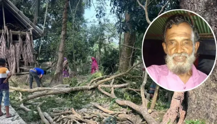 গাছের ডাল মাথায় পড়ে প্রা'ণ গে'ল বিএনপি নেতার