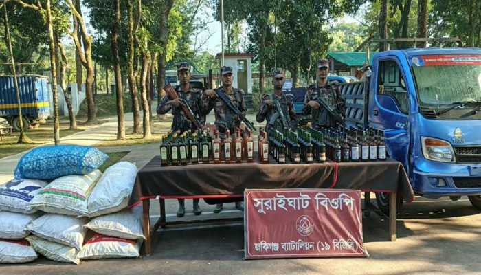 সিলেট সী'মা'ন্তে বিজিবির অ'ভি'যা'নে ২১ লাখ টাকার চো'রা'ই পণ্য জ'ব্দ