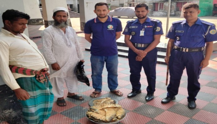 কাউখালীতে ২৫ কেজি লবণ মাখা ইলিশ জ'ব্দ, এতিমখানায় দান