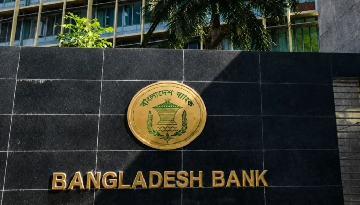 সাইবার ঝুঁ'কি'তে বন্ধের পর চালু বাংলাদেশ ব্যাংকের ওয়েবসাইট