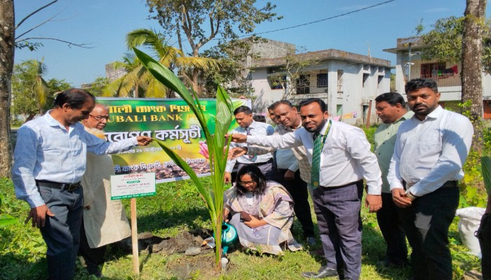 কাউখালীতে পূবালী ব্যাংকের উদ্যোগে বৃক্ষরোপণ কর্মসূচি, রোপণ করা হবে ৫ শতাধিক চারা