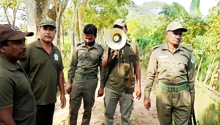 ‘গ্রামে বাঘ ঢুকেছে’: মাইকিং, ড্রোন উড়িয়ে চলছে তল্লাশি