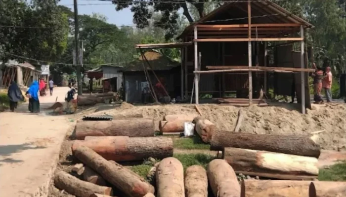 মির্জাপুরে সরকারি জমিতে অ'বৈধ শতাধিক করাতকল, উ'চ্ছেদ অভিযানে প্রশাসন