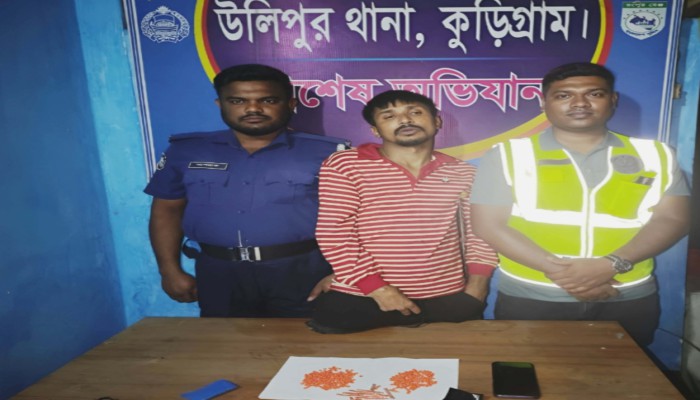 উলিপুরে ৫০০ পিস ই'য়া'বা'স'হ যুবক গ্রে'প্তা'র, উ'দ্ধা'র ৫ হাজার টাকা