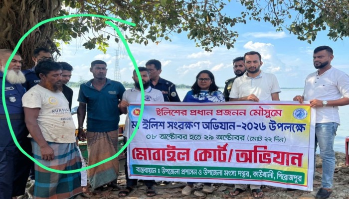 কাউখালীতে মা ইলিশ ধরায় ৩ জেলেকে জ'রি'মা'না, ৩০ হাজার টাকা আদায়