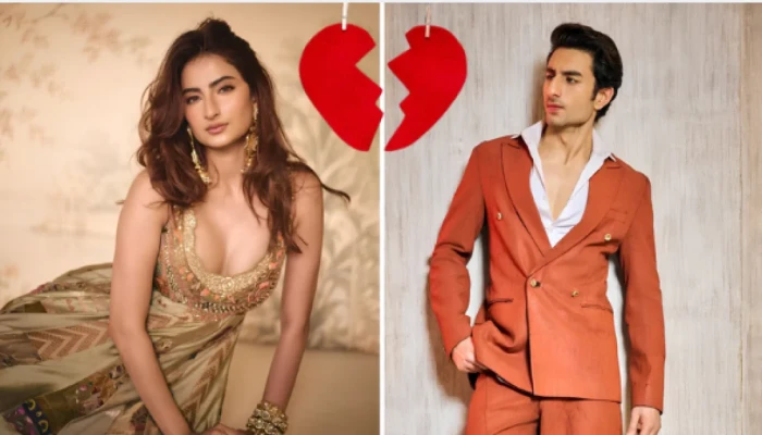 বি'চ্ছে'দের গু'ঞ্জ'ন, তিন বছরের সম্পর্ক ভা'ঙছে'ন পলক-ইব্রাহিম