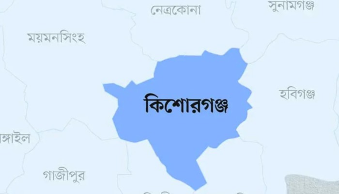 অটোরিকশার ভাড়া নিয়ে বরযাত্রীদের সঙ্গে সং'ঘ'র্ষ, পুলিশসহ আ'হ'ত ১৩